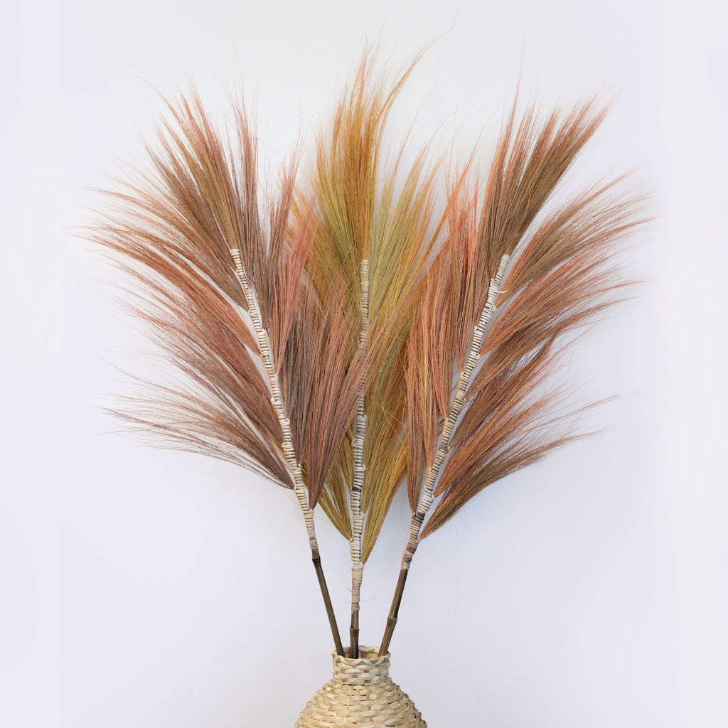 Rayung Grass Coral Unique Decorative Home Accent for Interiors