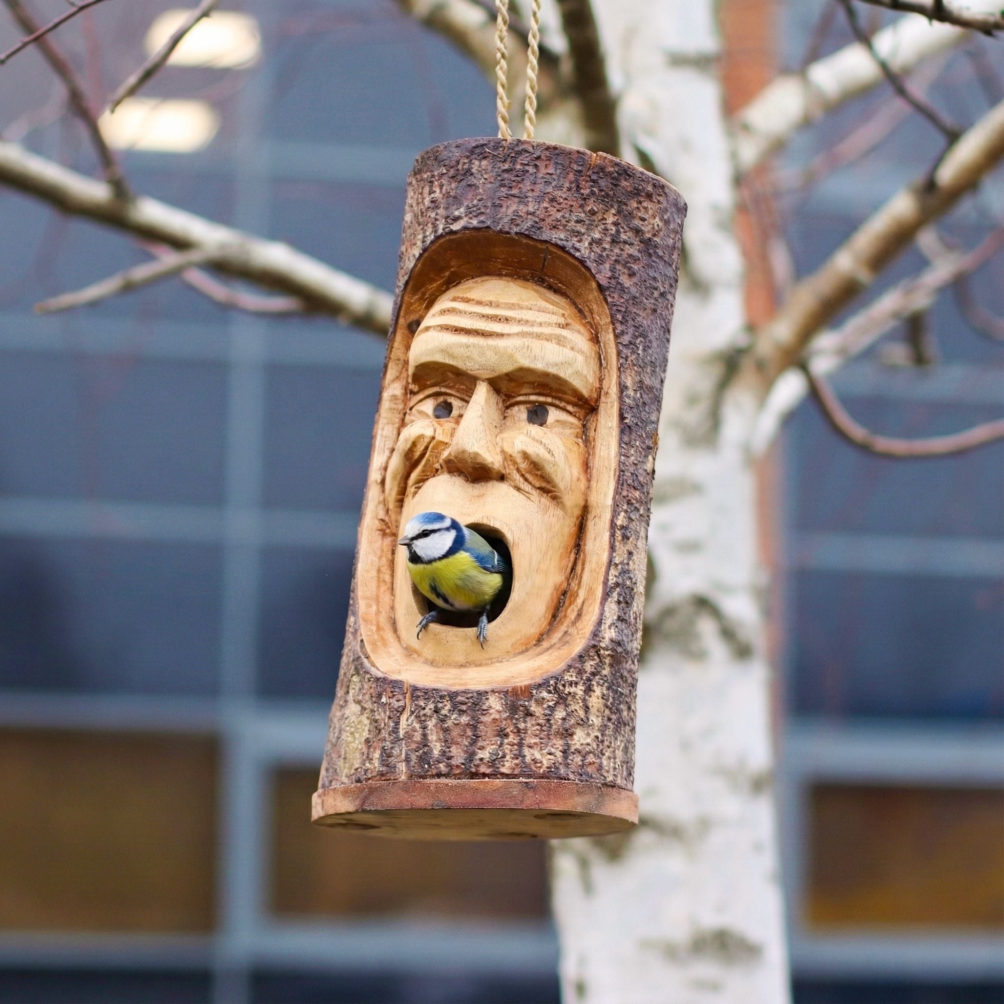 Tree Trunk Face Bird House Grumpy Old Man for Your Outdoor Space
