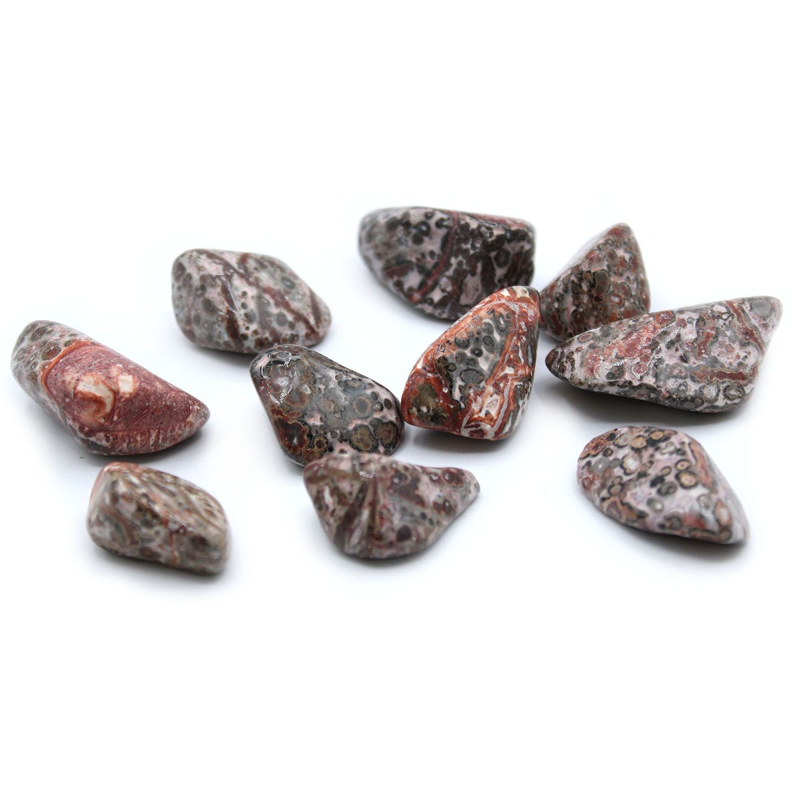 Large Leopard Skin Tumble Stones for Crafting and Collecting