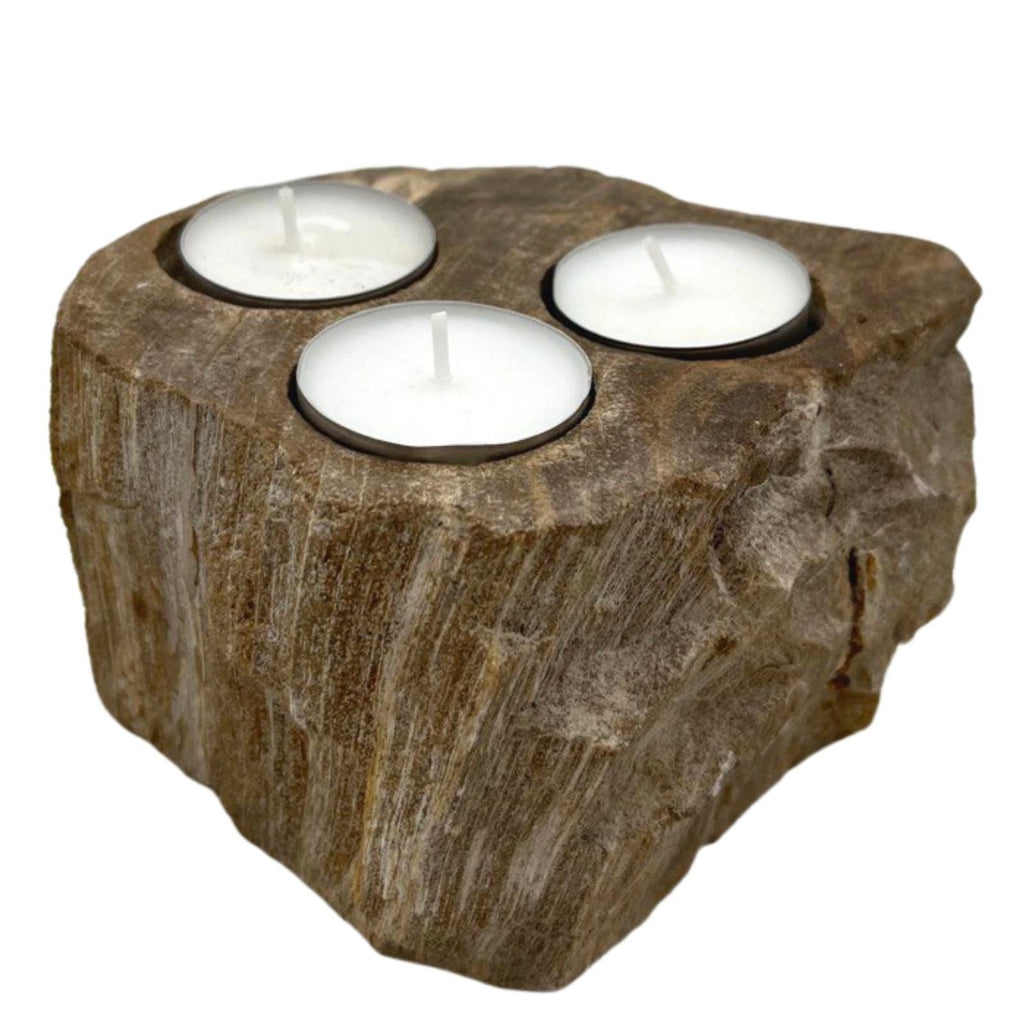 Petrified Wood Candle Holder Triple for Unique Rustic Decor