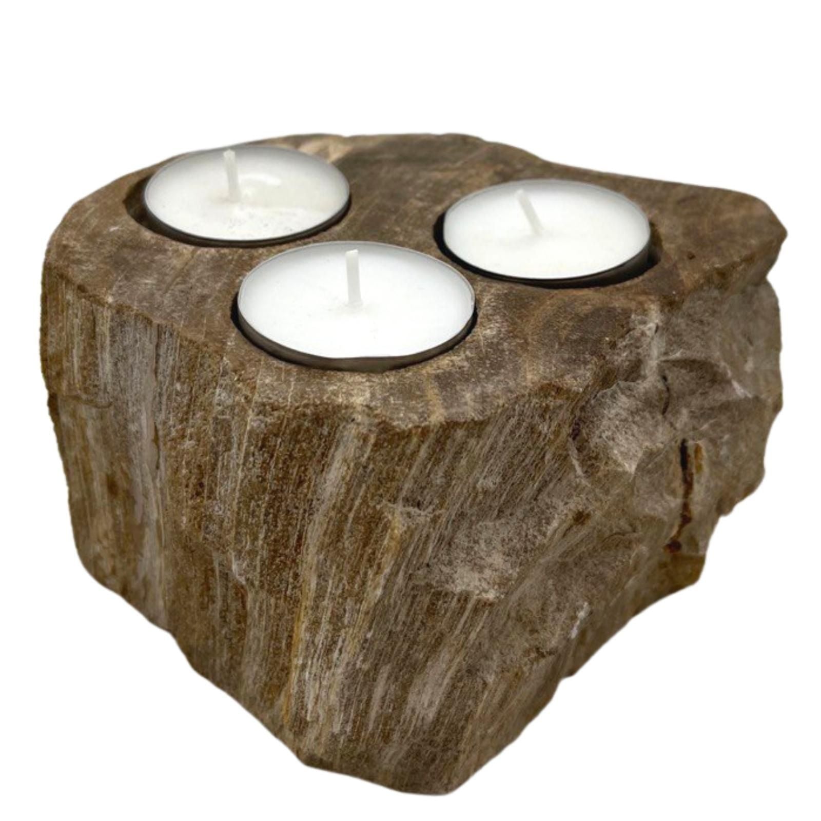 Petrified Wood Candle Holder Triple for Unique Rustic Decor