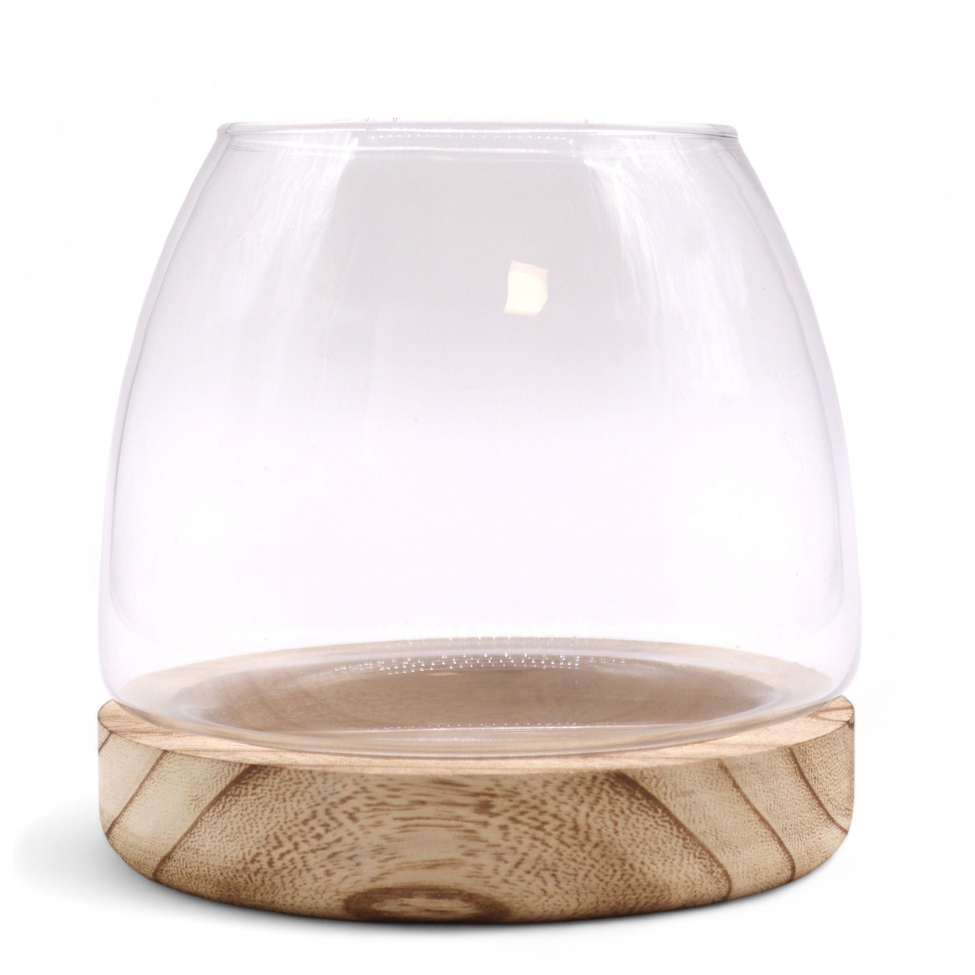 Medium Terrarium on Natural Tung Wood for Miniature Ecosystems
