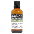 Eucalyptus Organic Essential Oil 50ml for Home Fragrance