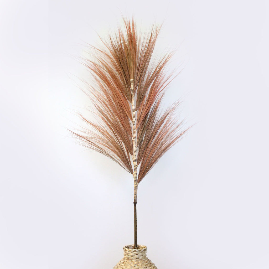 Rayung Grass Coral Unique Decorative Home Accent for Interiors