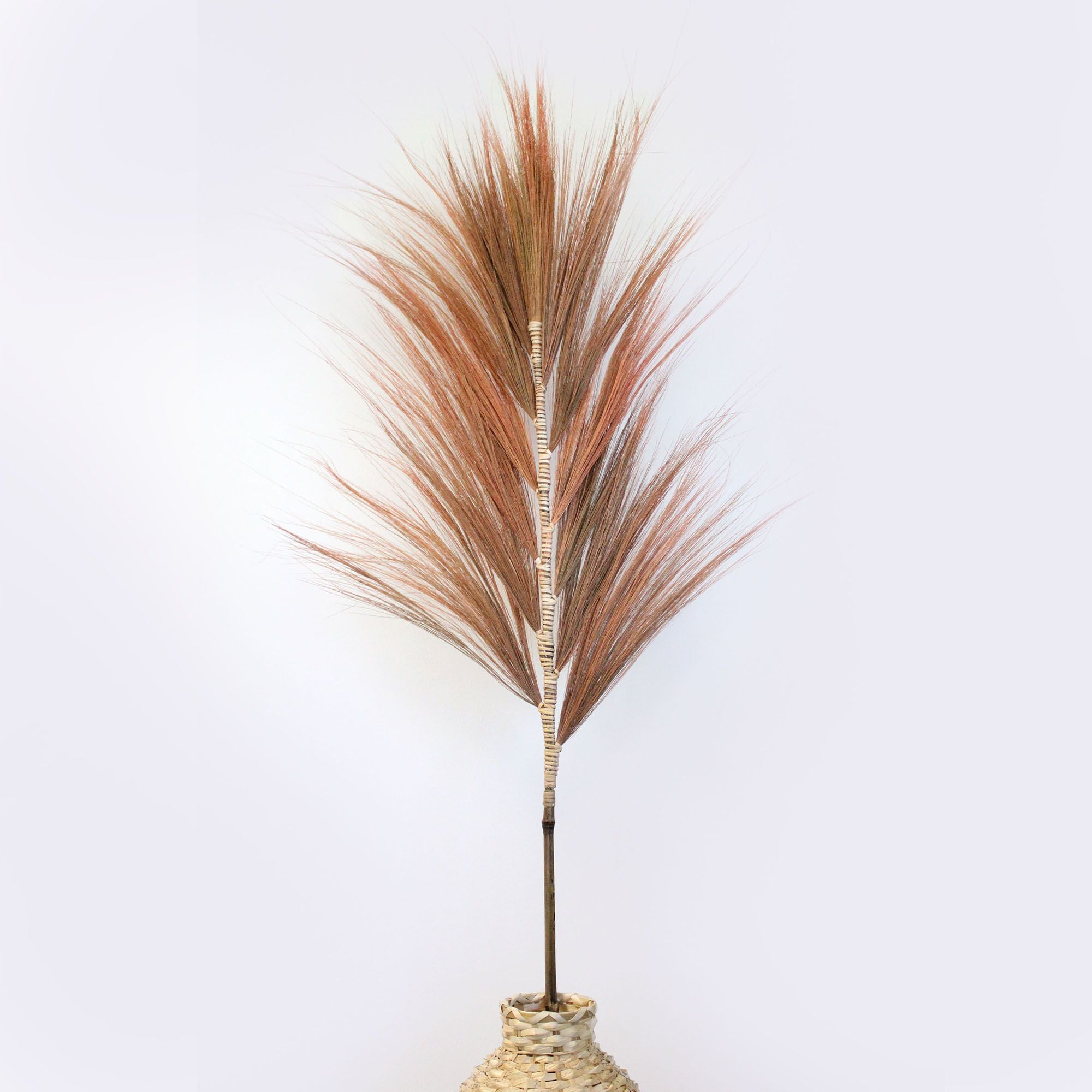 Rayung Grass Coral Unique Decorative Home Accent for Interiors