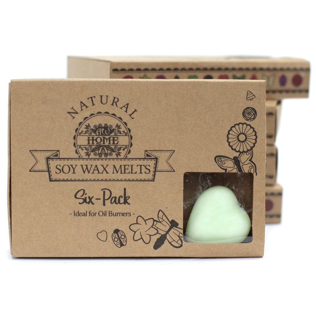 Box of 6 Watermelon Fresh Wax Melts for Home Fragrance Delight