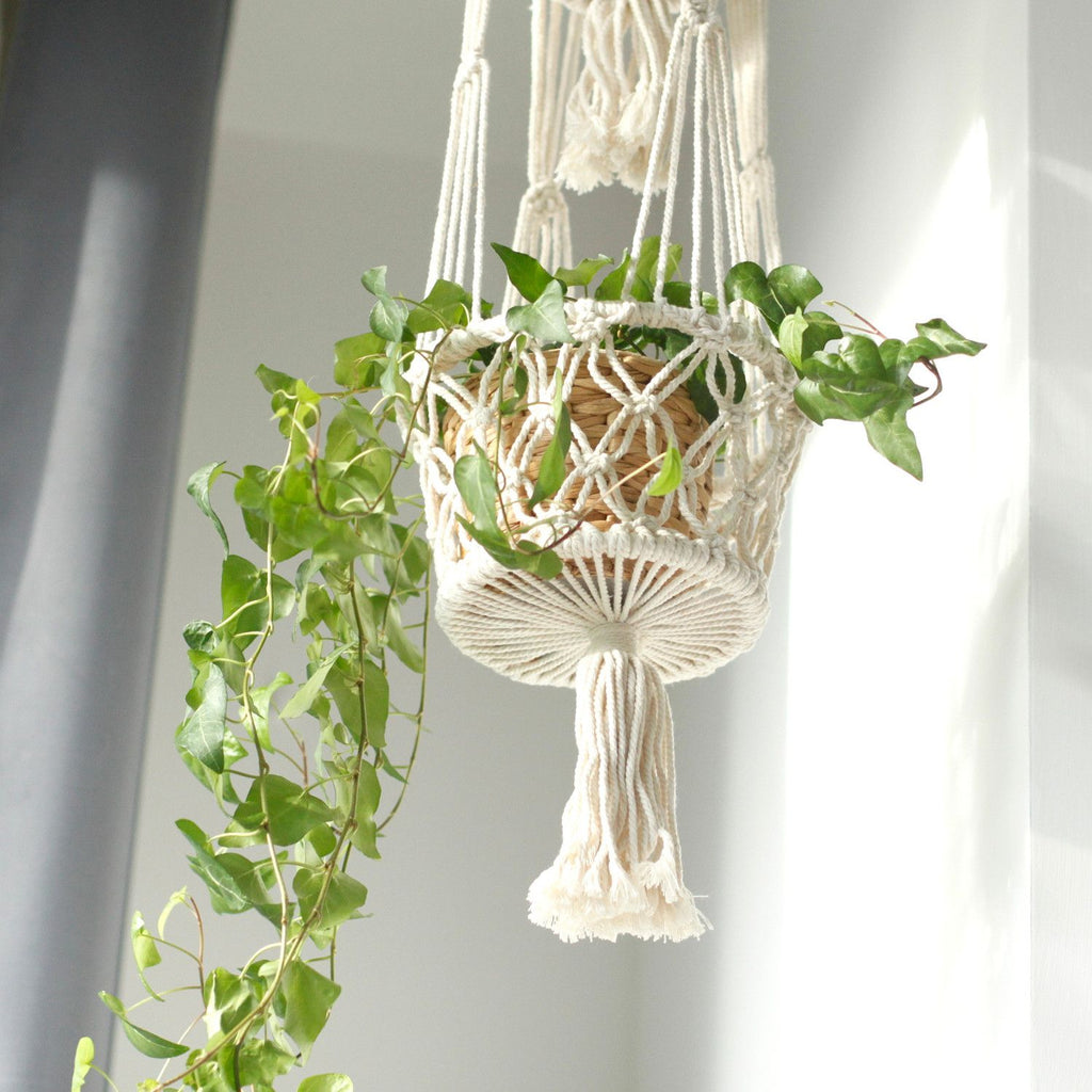 Macrame Pot Holder Double Holder for Stylish Home Plant Décor