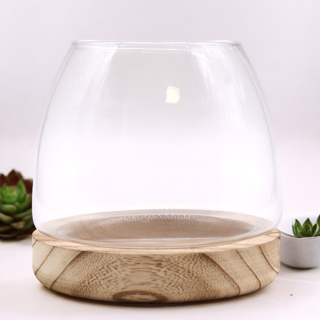 Medium Terrarium on Natural Tung Wood for Miniature Ecosystems
