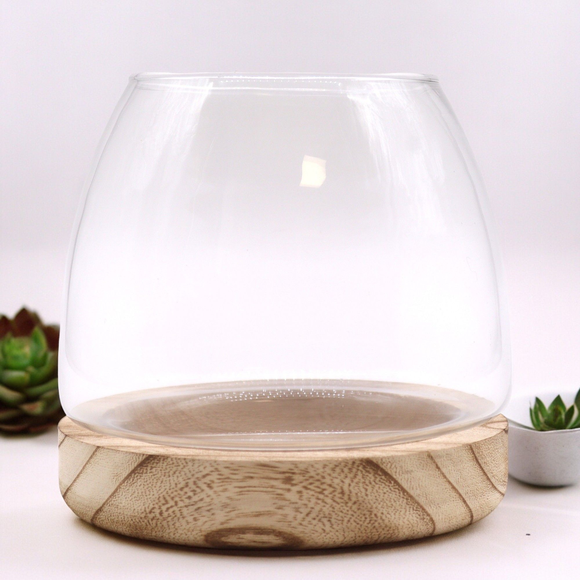 Medium Terrarium on Natural Tung Wood for Miniature Ecosystems