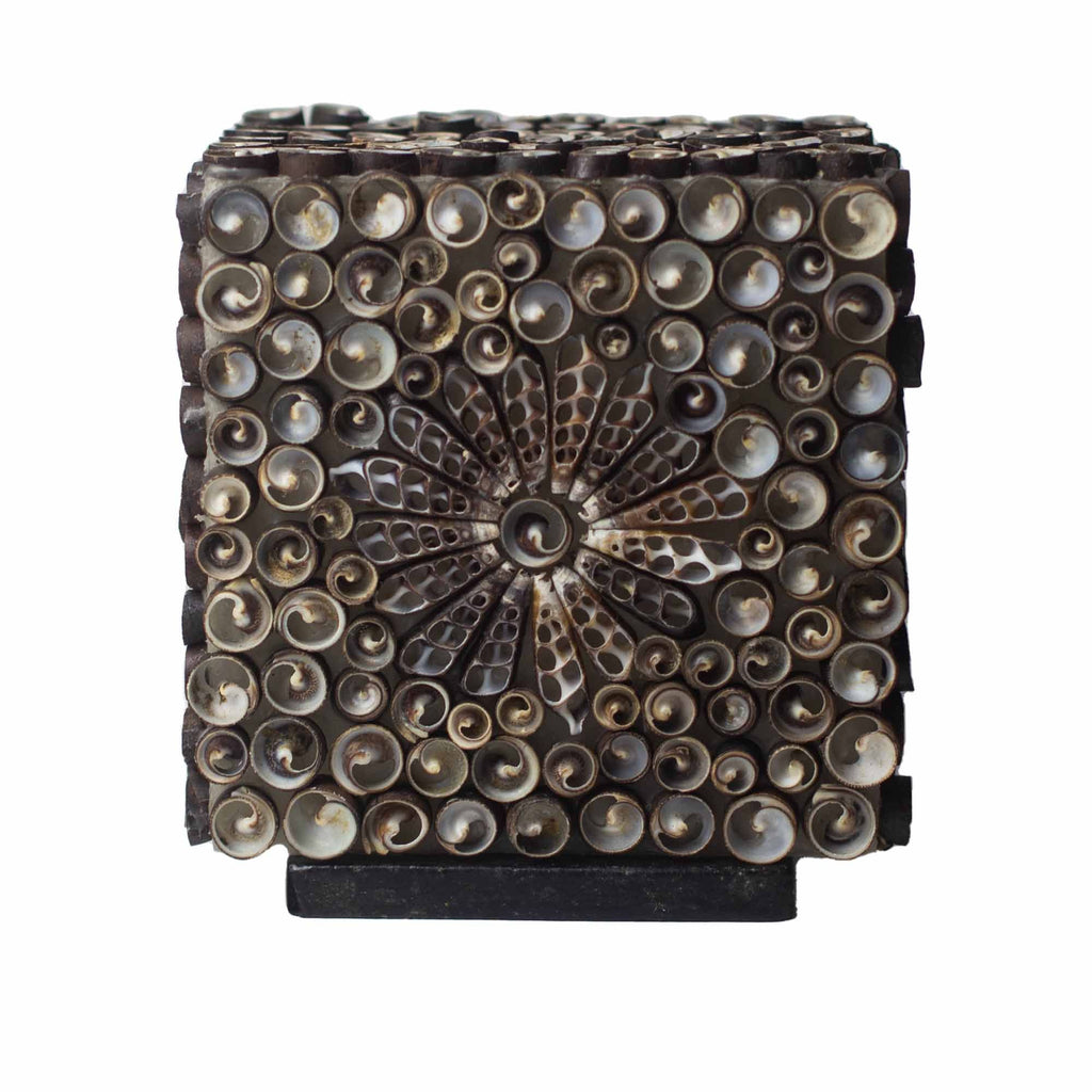 Boho Sea Shell Lamp Chocolate Twist Square Design for Home Décor