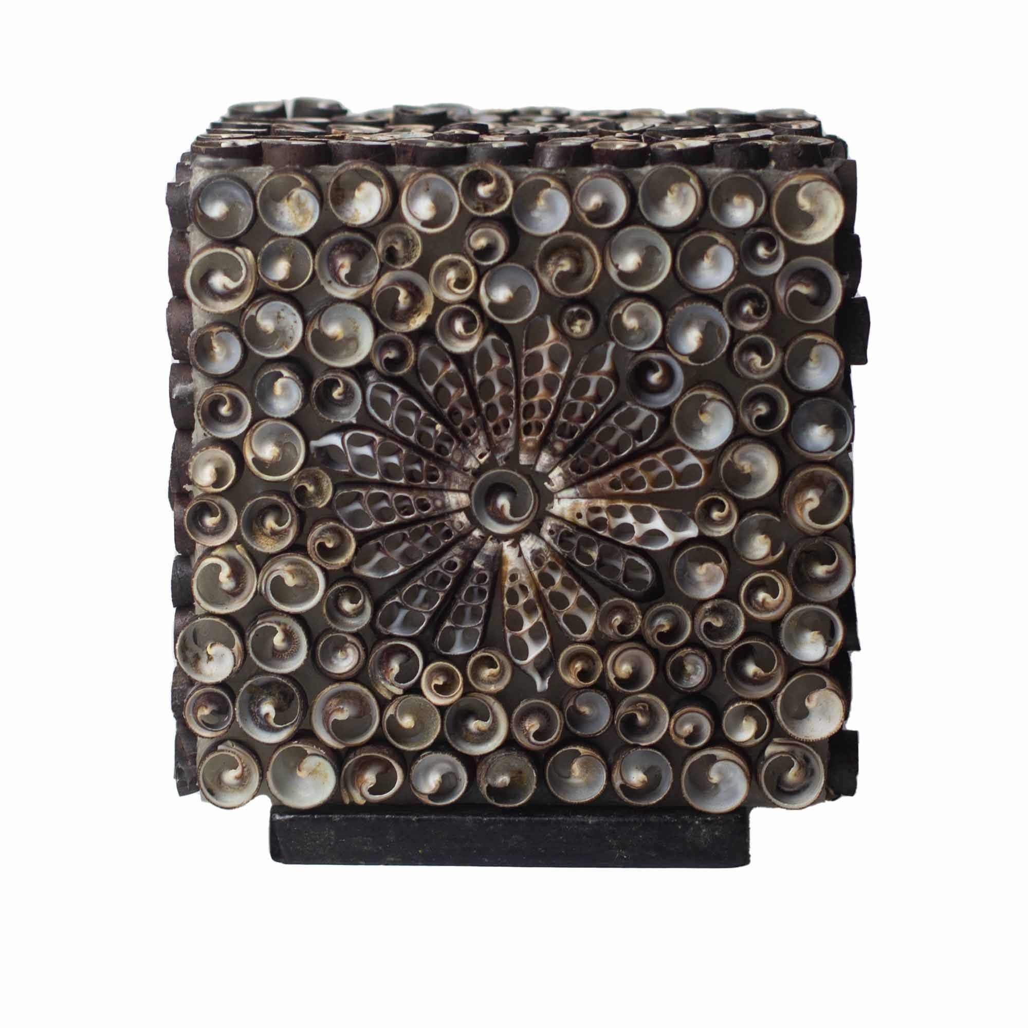 Boho Sea Shell Lamp Chocolate Twist Square Design for Home Décor