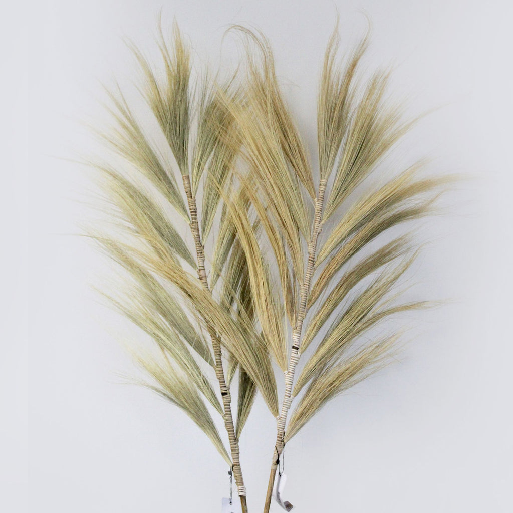 Rayung Grass Blond 2m for Home Decor and Creative Crafts