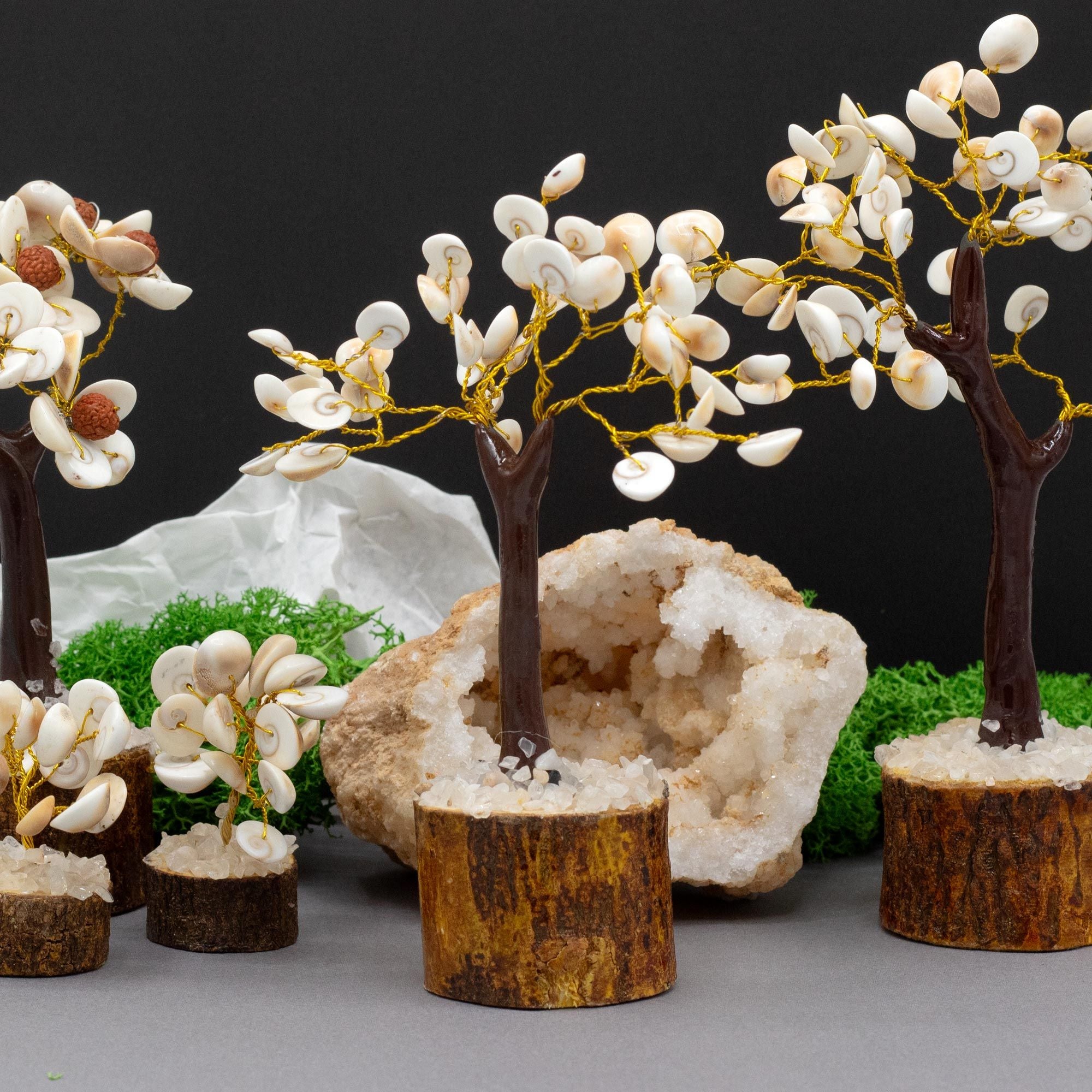 Med Gomati Chakra Circle Stone Tree with 45 Decorative Stones