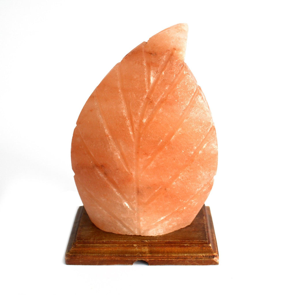 Unique Fern Shape Himalayan Salt Lamp for Home Décor Lighting
