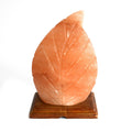 Unique Fern Shape Himalayan Salt Lamp for Home Décor Lighting