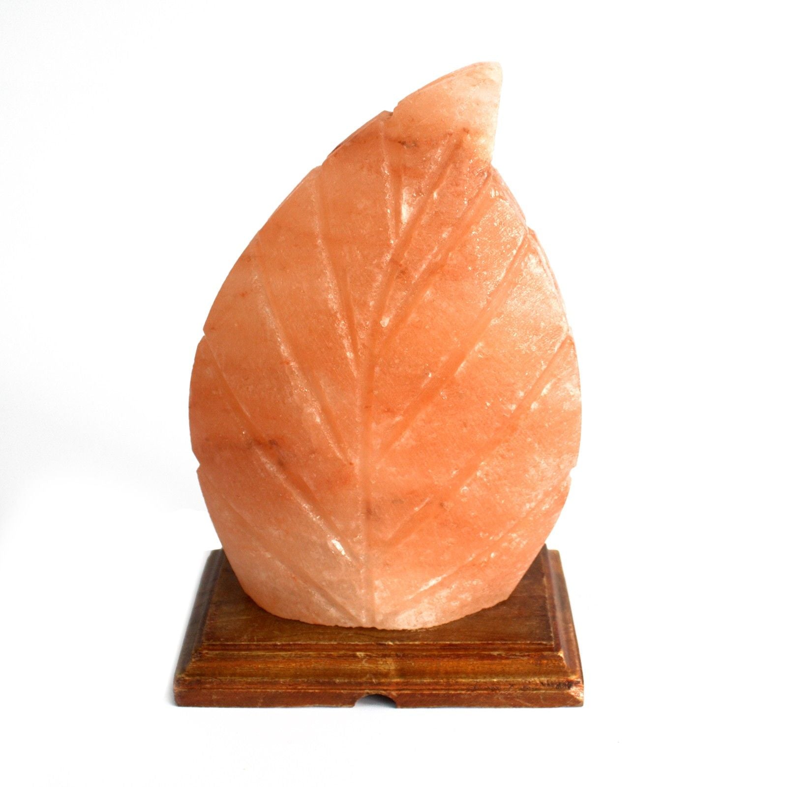 Unique Fern Shape Himalayan Salt Lamp for Home Décor Lighting
