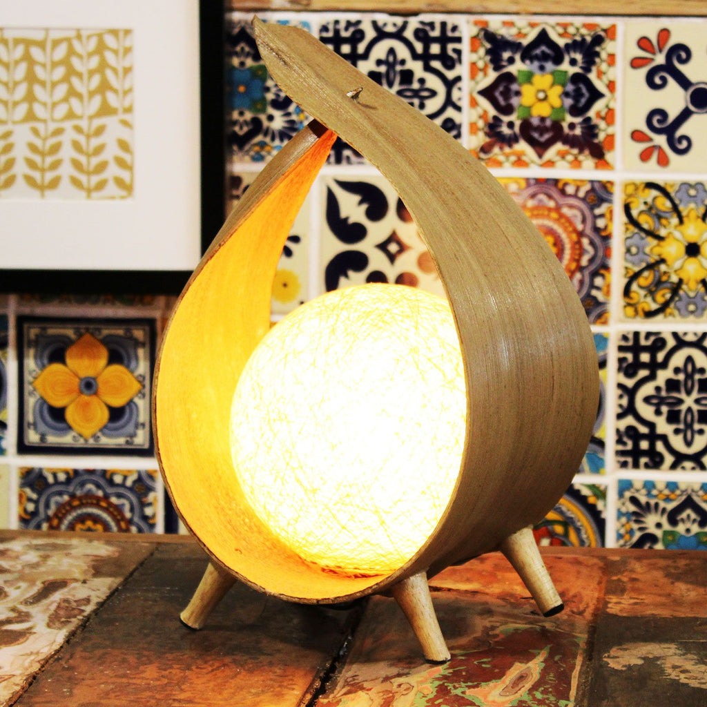 Natural Coconut Lamp with Unique Loop Design for Home Décor