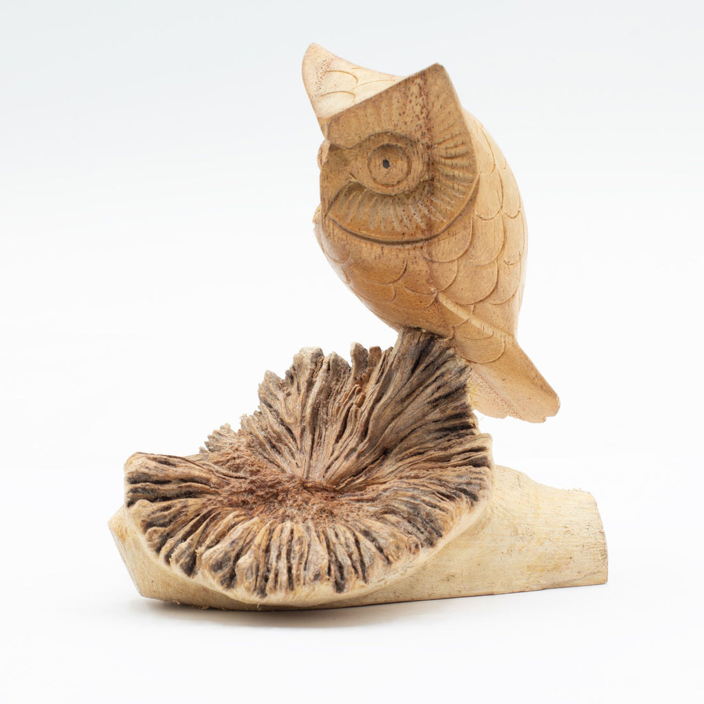 Handmade Parasite Wood Art Carving Unique Owl Watching Decor