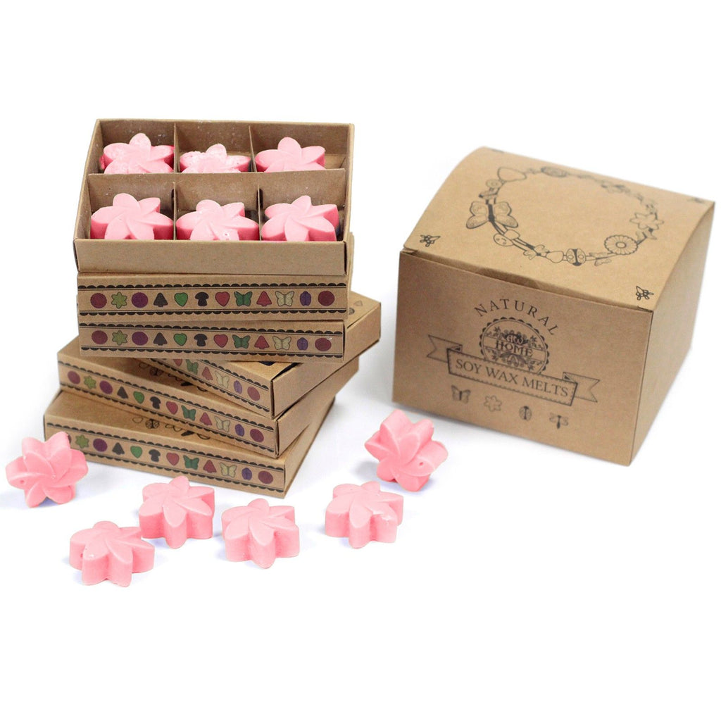 Box of 6 Japanese Magnolia Wax Melts for Home Fragrance Bliss