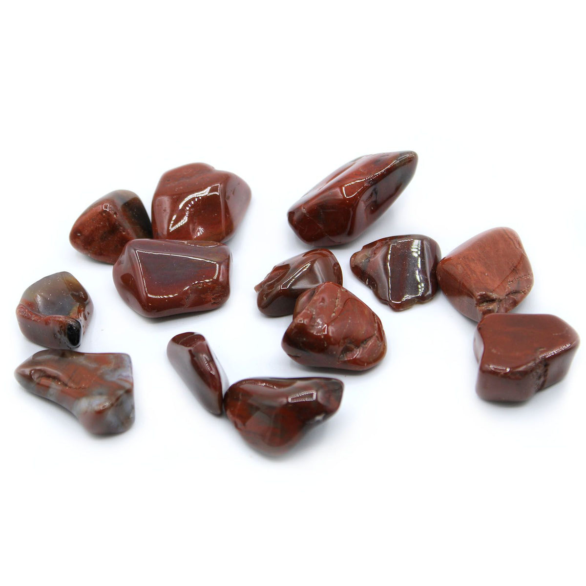 Large Tumble Stones - Petrified Wood
