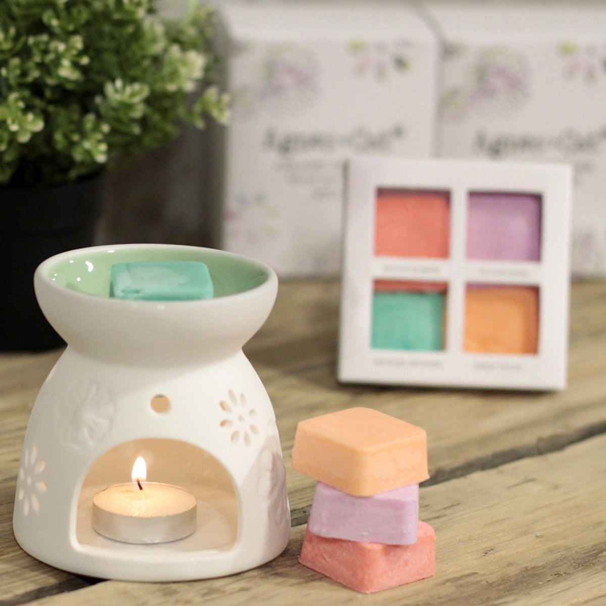 Agnes + Cat Wax Melter with Four Soy Wax Melts