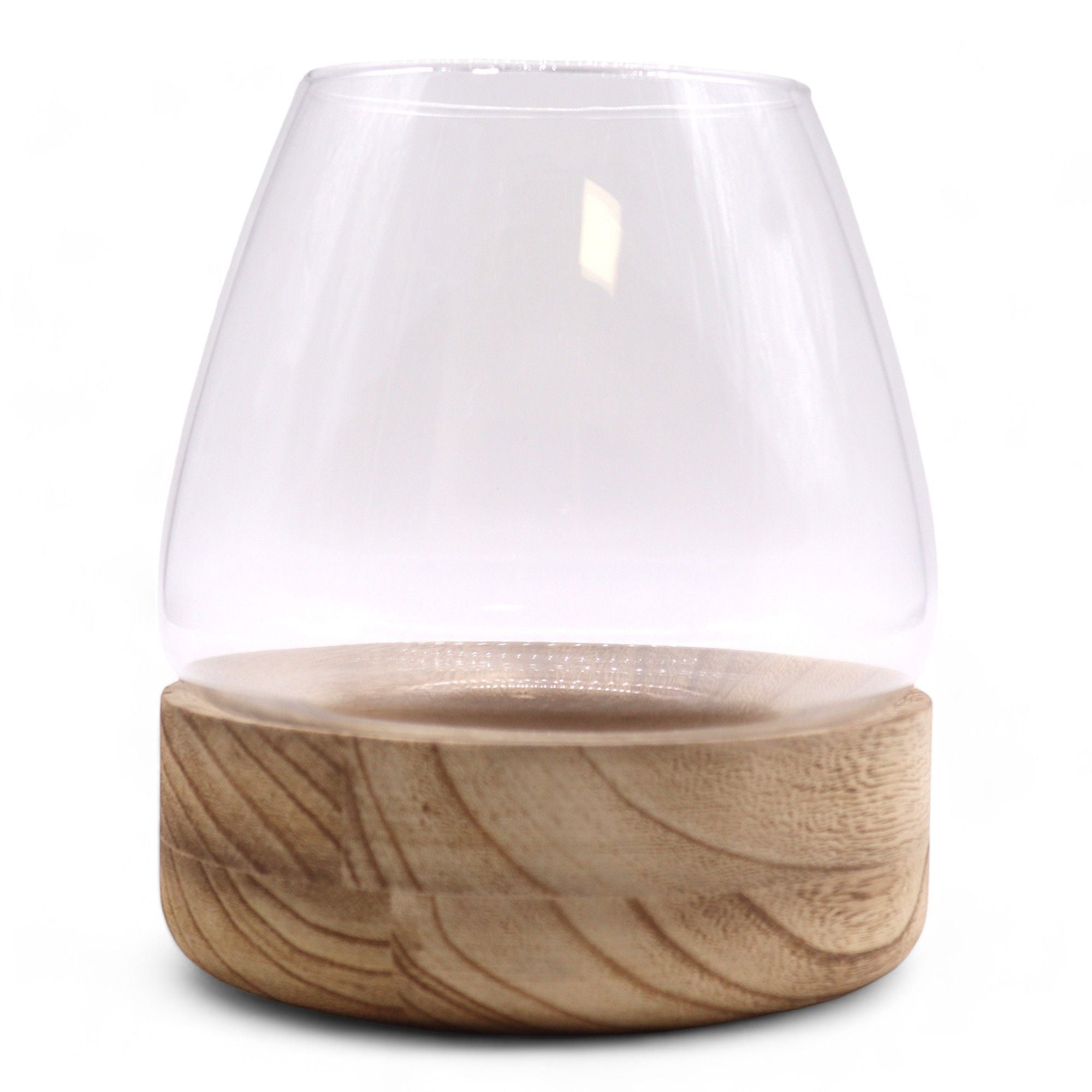 Large Terrarium on Natural Tung Wood for Captivating Displays