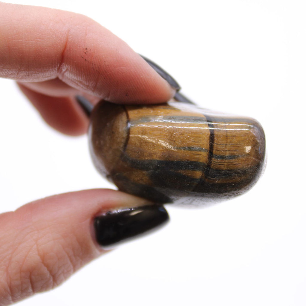 Medium Varigated Tigers Eye Tumble Stones from Africa for Collectors