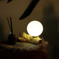 DriftGlow Lamp Cotton Luna Ivory Shade with Unique Driftwood Base