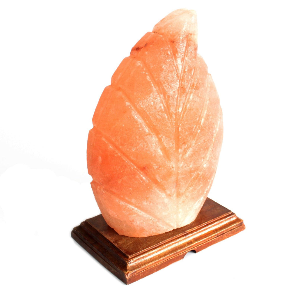 Unique Fern Shape Himalayan Salt Lamp for Home Décor Lighting