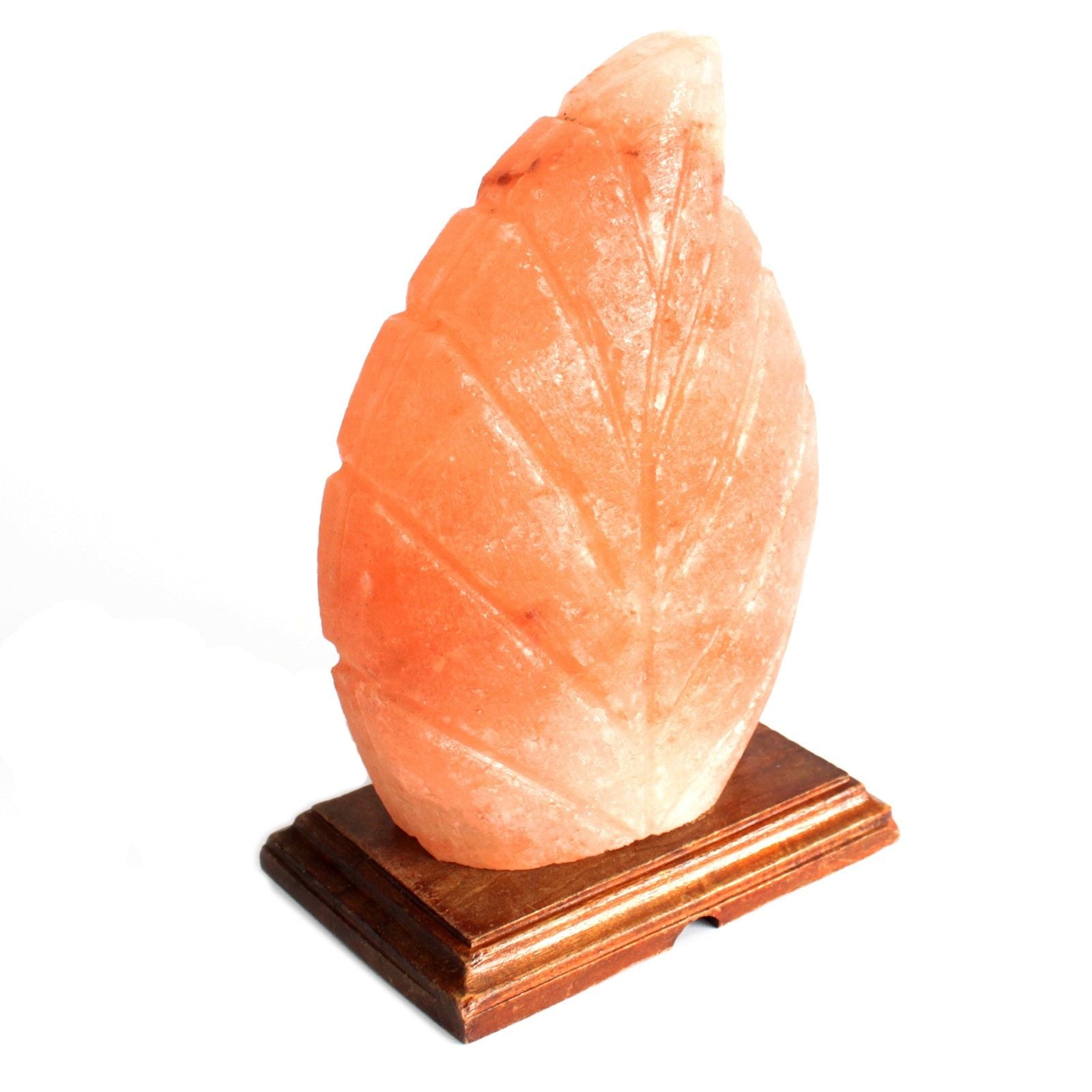 Unique Fern Shape Himalayan Salt Lamp for Home Décor Lighting