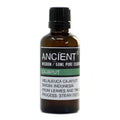 Cajaput Essential Oil 50ml for Insect Repellent and Congestion
