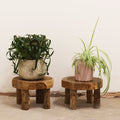 Medium Teak Pad Display Set 27x15cm for Home and Office Use