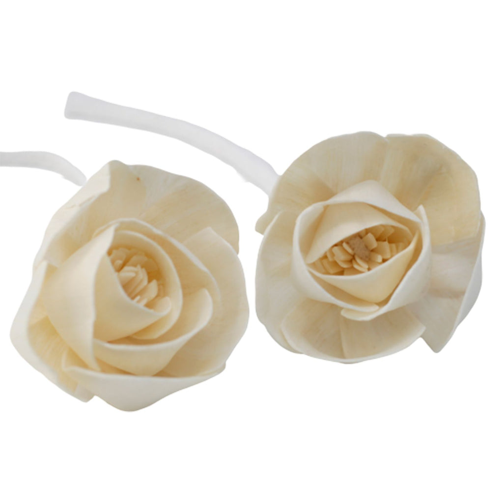 Natural Diffuser Flowers Large Rose on String for Home Decor