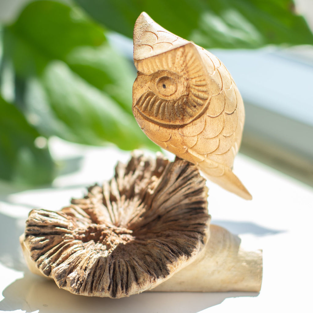 Handmade Parasite Wood Art Carving Unique Owl Watching Decor