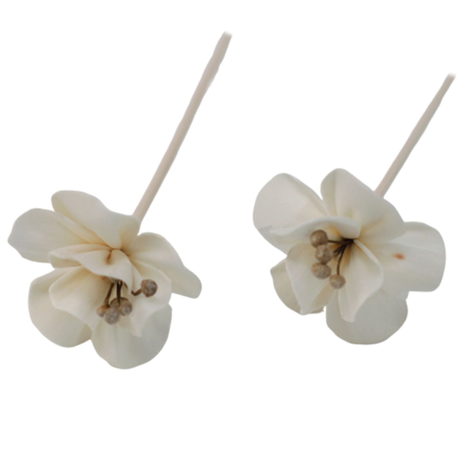 Natural Diffuser Flowers Lily on Reed for Home Fragrance Decor