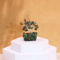 Mini Gemstone Tree on Orgonite Base with 15 Green Aventurine Stones