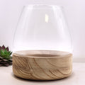 Large Terrarium on Natural Tung Wood for Captivating Displays