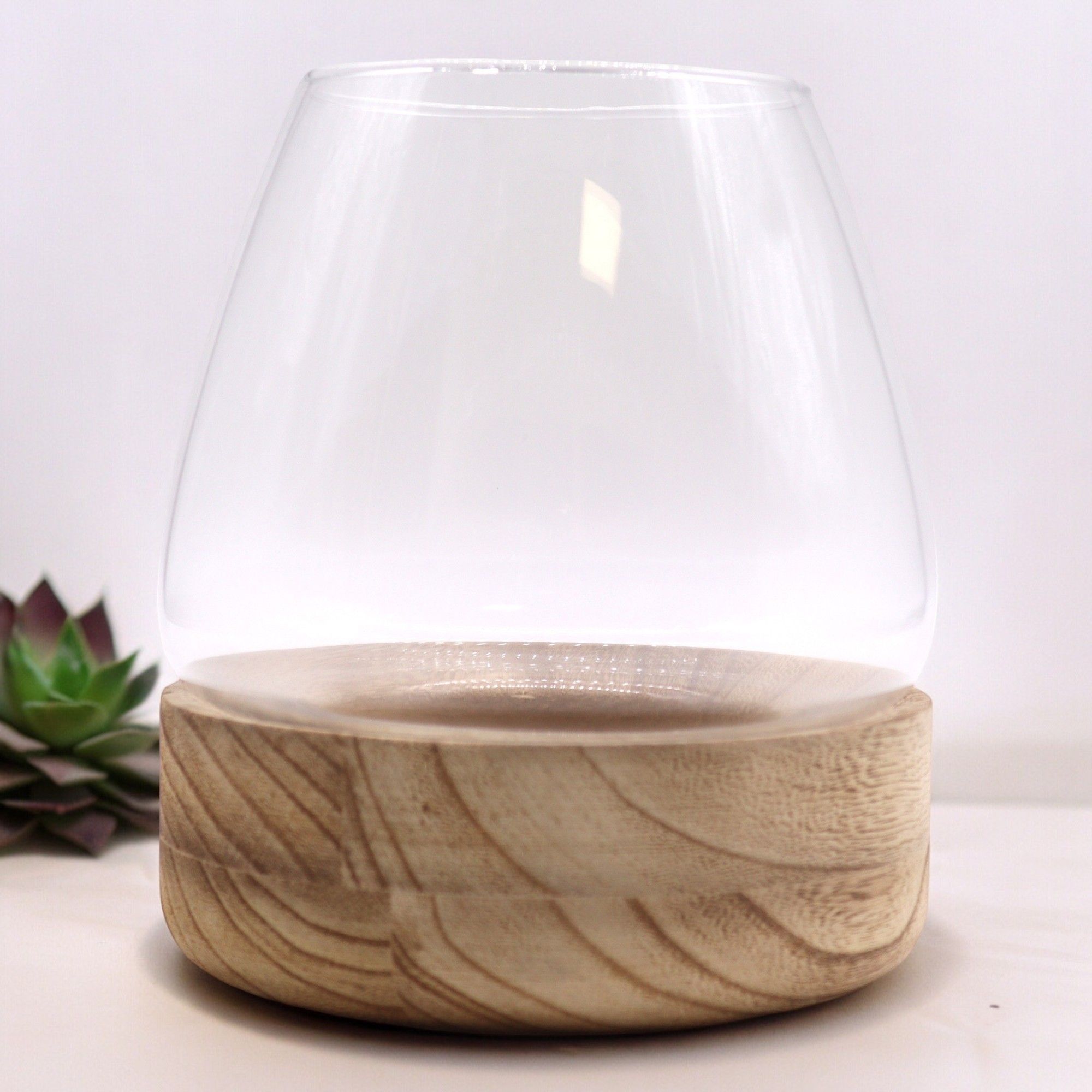 Large Terrarium on Natural Tung Wood for Captivating Displays