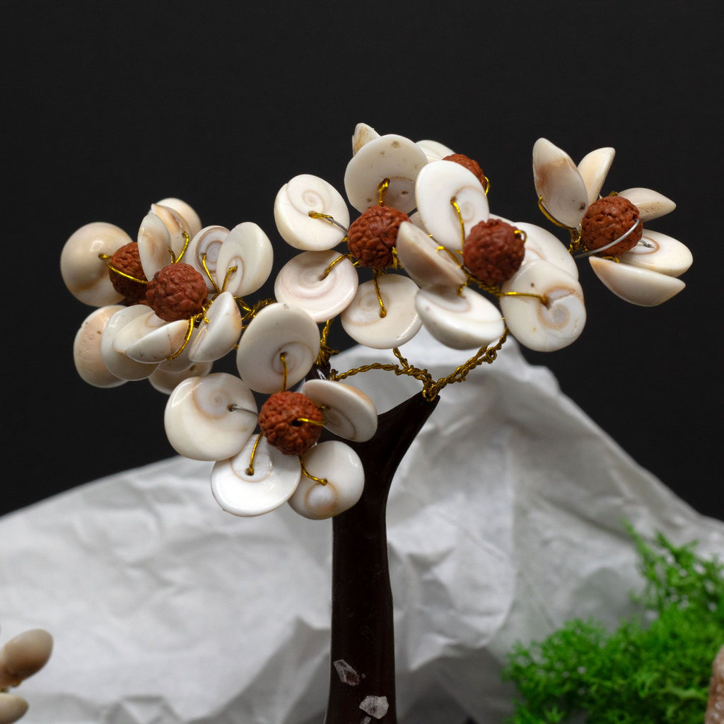 Med Gomati Chakra Circle Stone Tree with Rudraksha 45 Stones