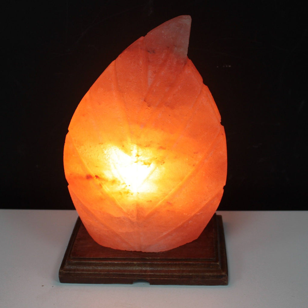 Unique Fern Shape Himalayan Salt Lamp for Home Décor Lighting