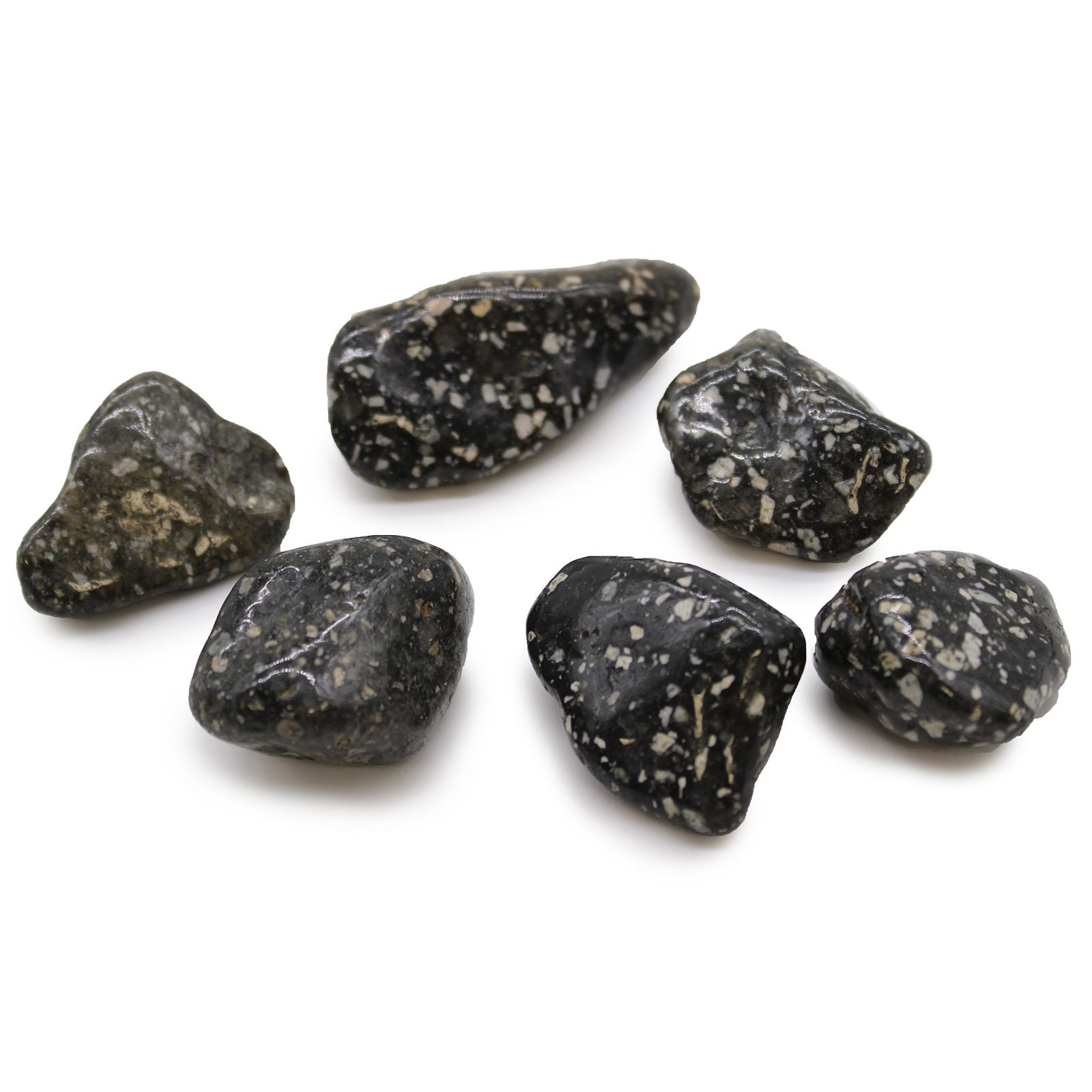 Large African Tumble Stones Guinea Fowl Large for Unique Decor