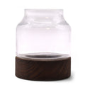 Small Shaped Terrarium on Dark Tung Wood for Indoor Gardens