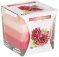 Rainbow Jar Candle Cactus Flower for Home Fragrance and Decor