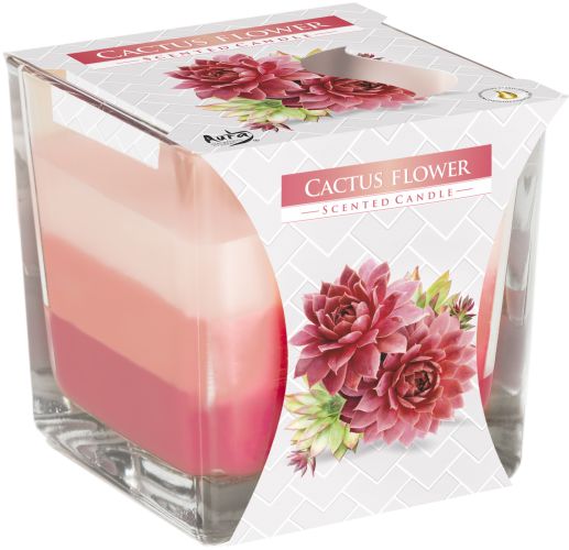 Rainbow Jar Candle Cactus Flower for Home Fragrance and Decor