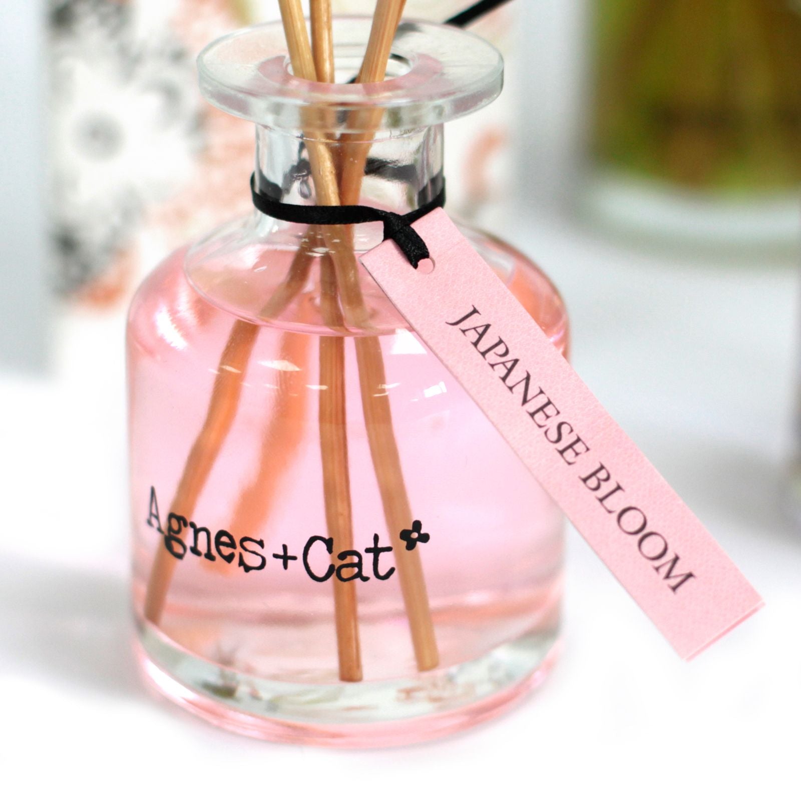 Agnes + Cat 140ml Reed Diffuser - Japanese Bloom