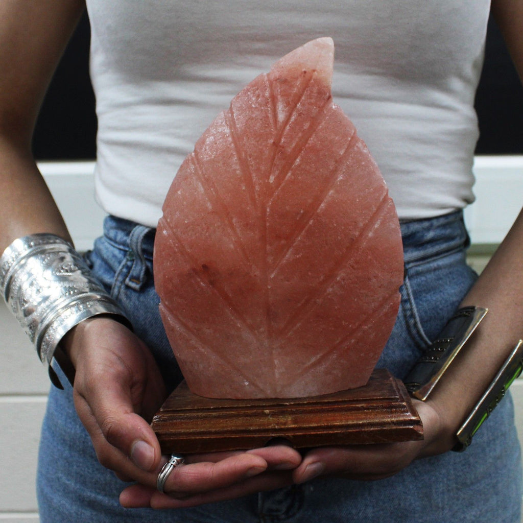 Unique Fern Shape Himalayan Salt Lamp for Home Décor Lighting