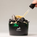 Hop Hare The King Diffusing Crystals Floral Set for Home Elegance