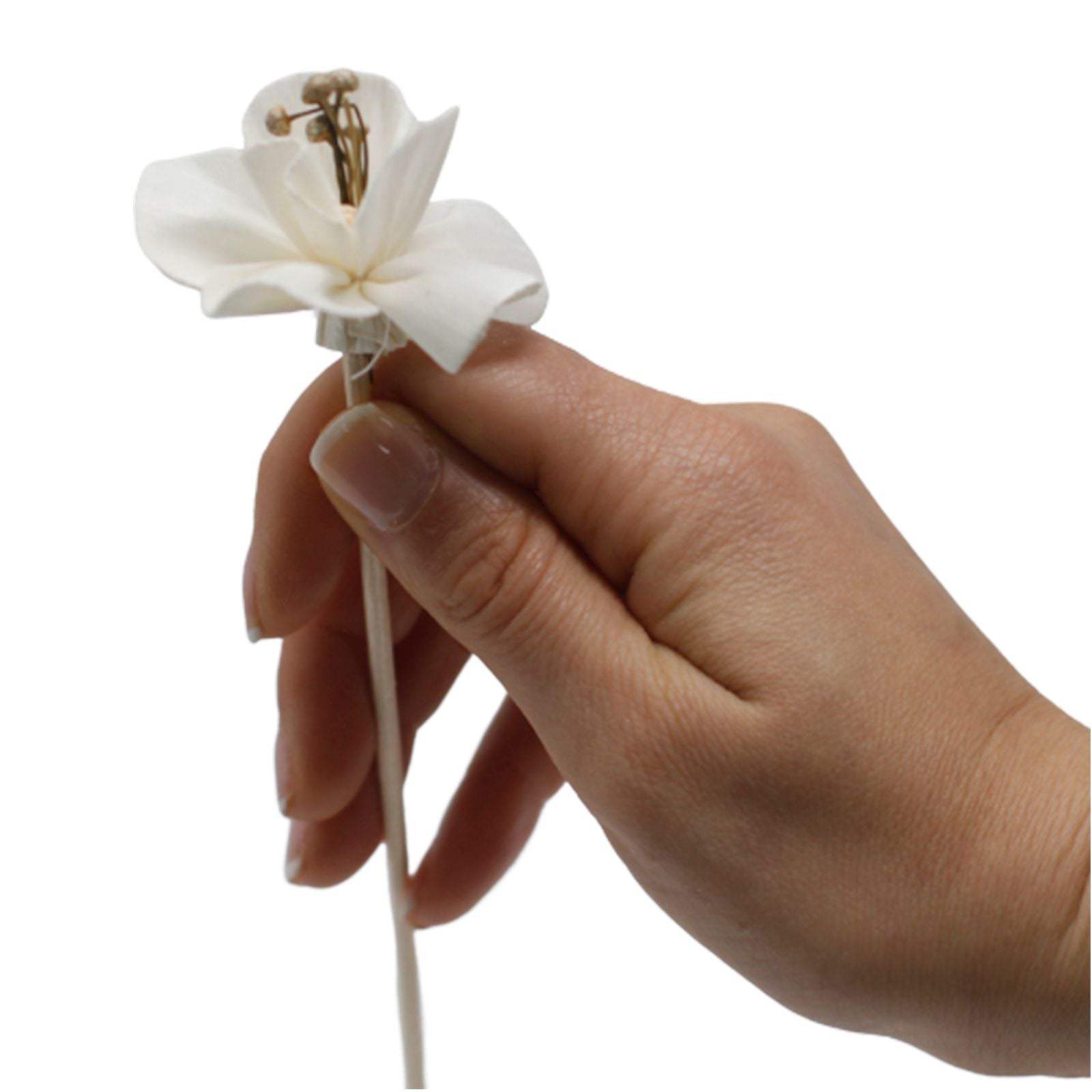 Natural Diffuser Flowers Lily on Reed for Home Fragrance Decor
