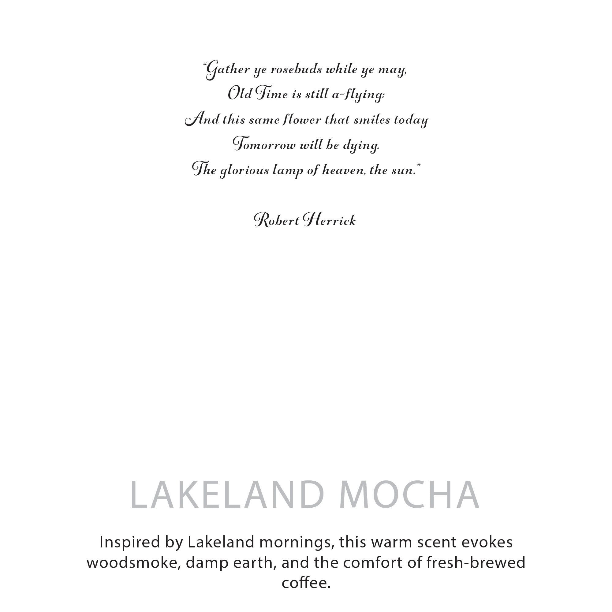 Lakeland Mocha Soy Wax Candle 350g Coffee Scented for Comfort
