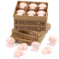 Box of 6 Old Ginger Wax Melts for Inviting Home Fragrance